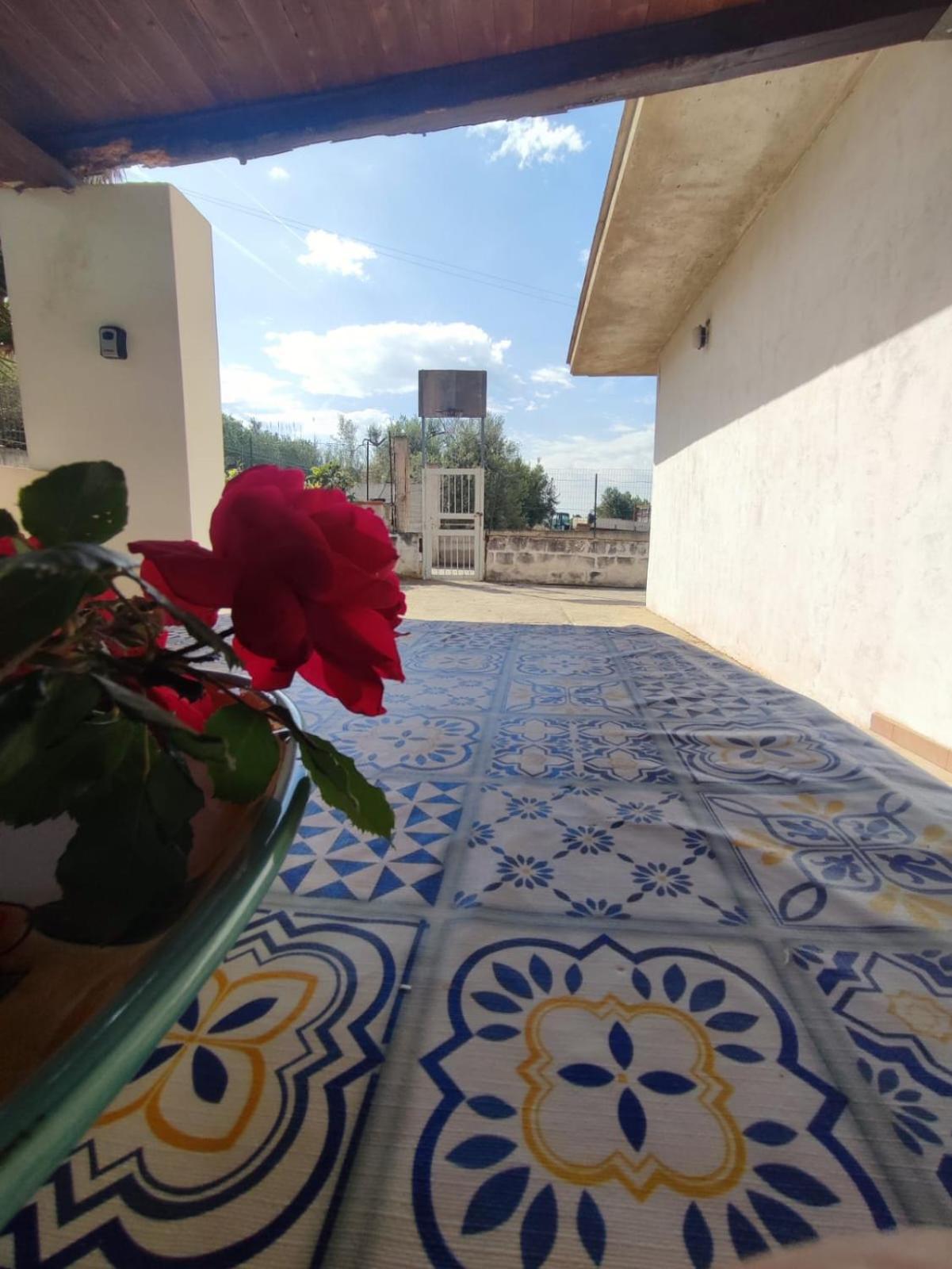 Balestrate Holiday Home 70 Mq Екстериор снимка